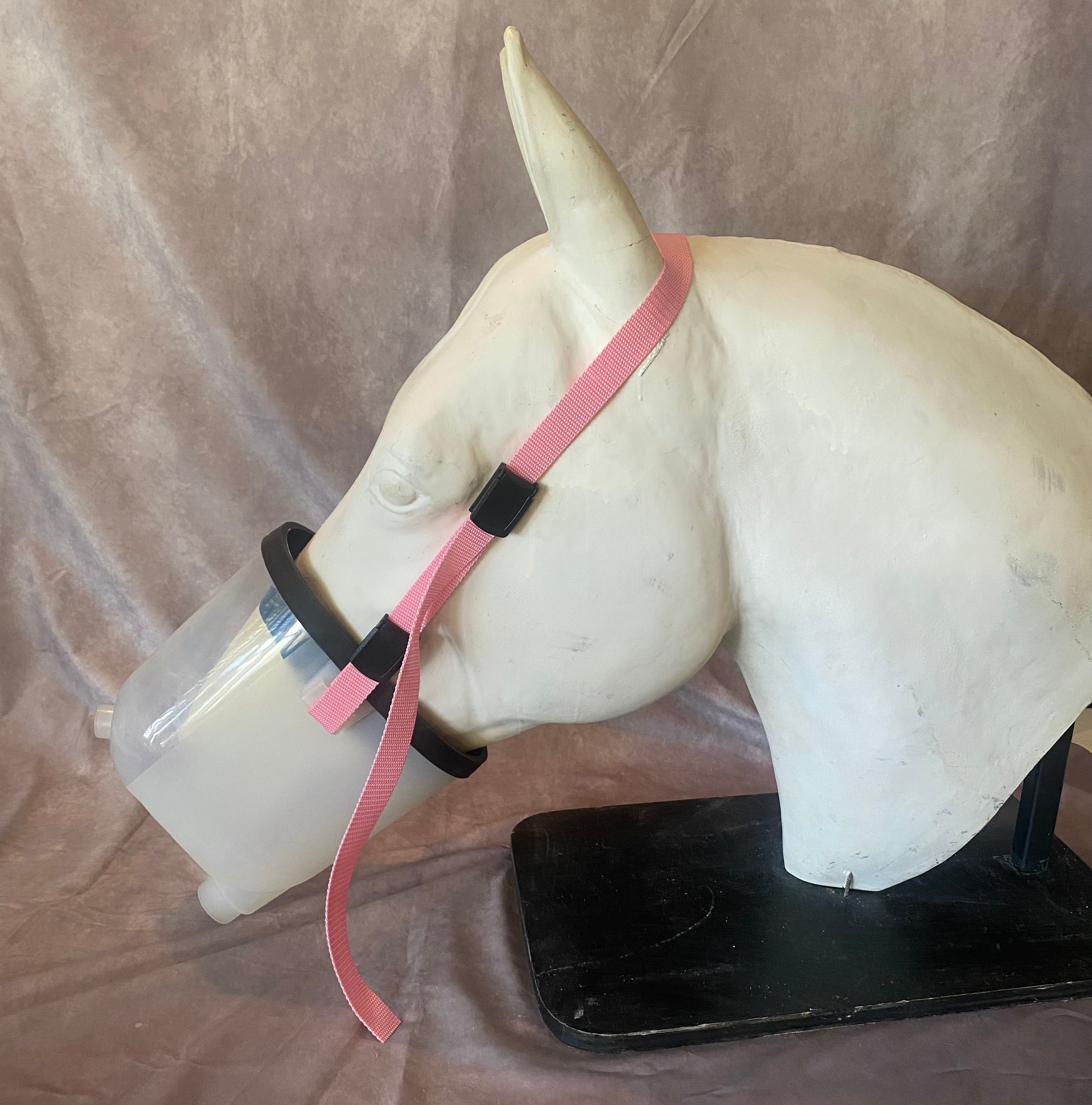 Pink Mask – EquiResp